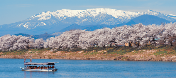Top 10 Uncommon Places in Japan for Cherry Blossom Viewing